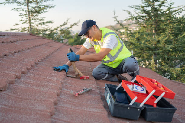 Best Roof Maintenance Services  in Morrisville, VT